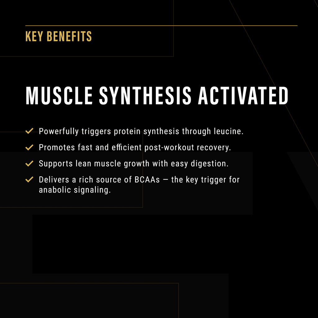 Anabolic Protein - MacroPanora