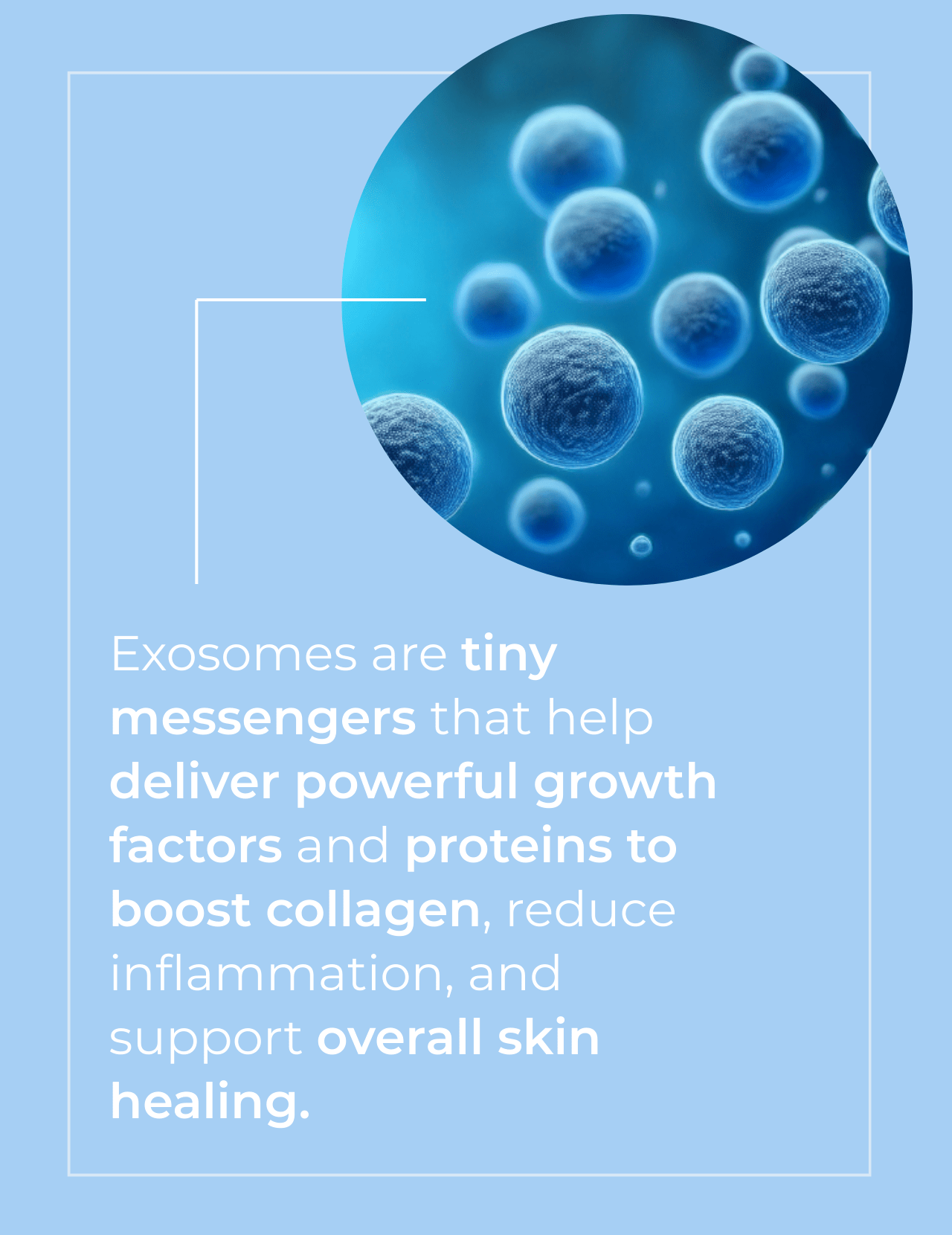 Exosome Skin Repair Serum - MacroPanora