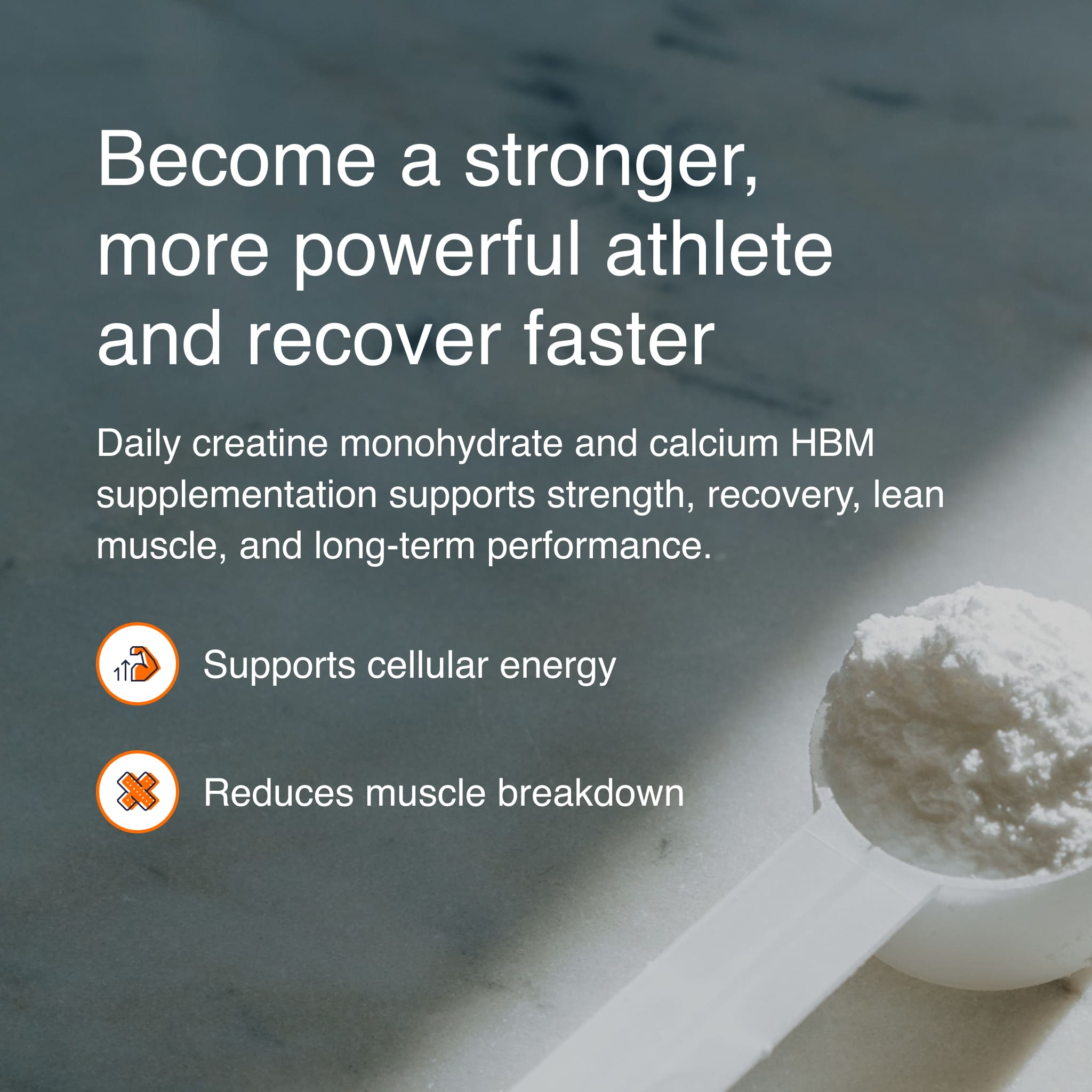 HMB+ Creatine - MacroPanora