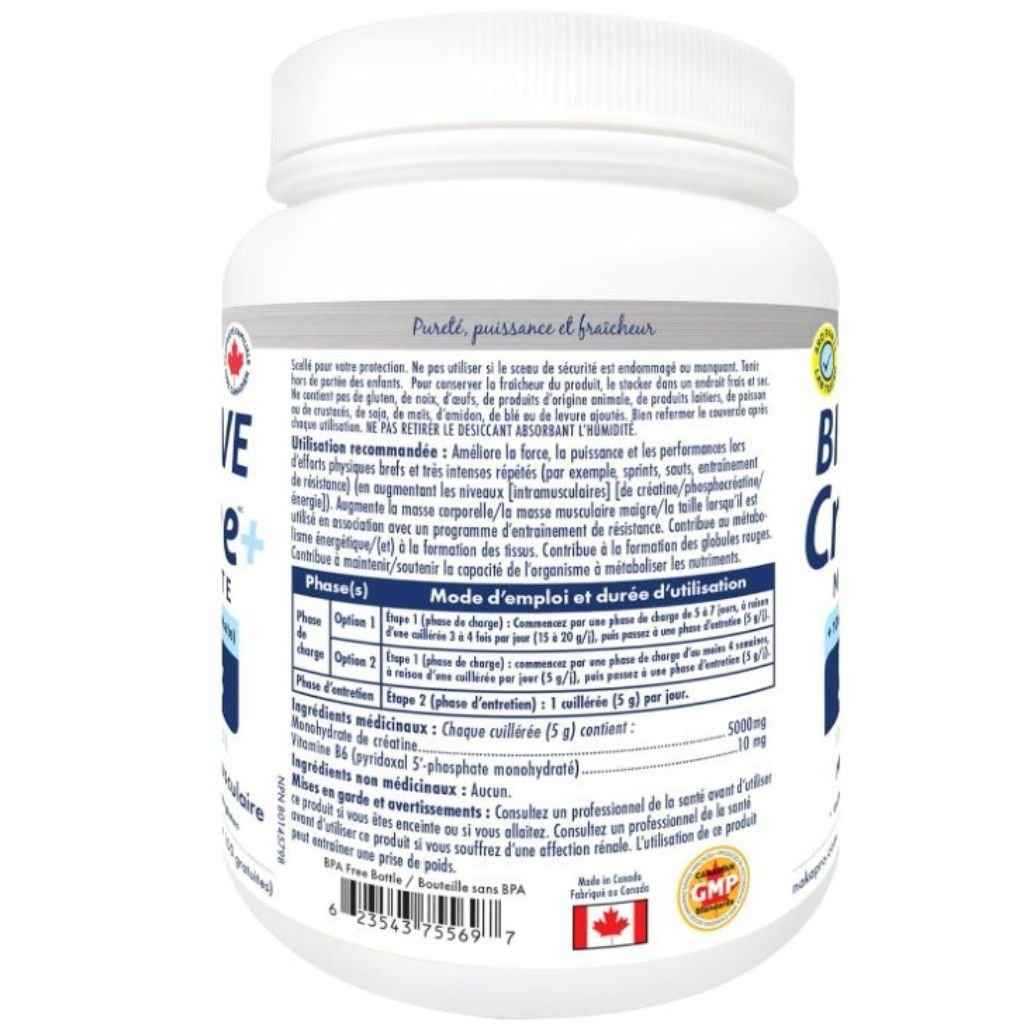 Naka Platinum BIOACTIVE CREATINE +B6, 400g - MacroPanora