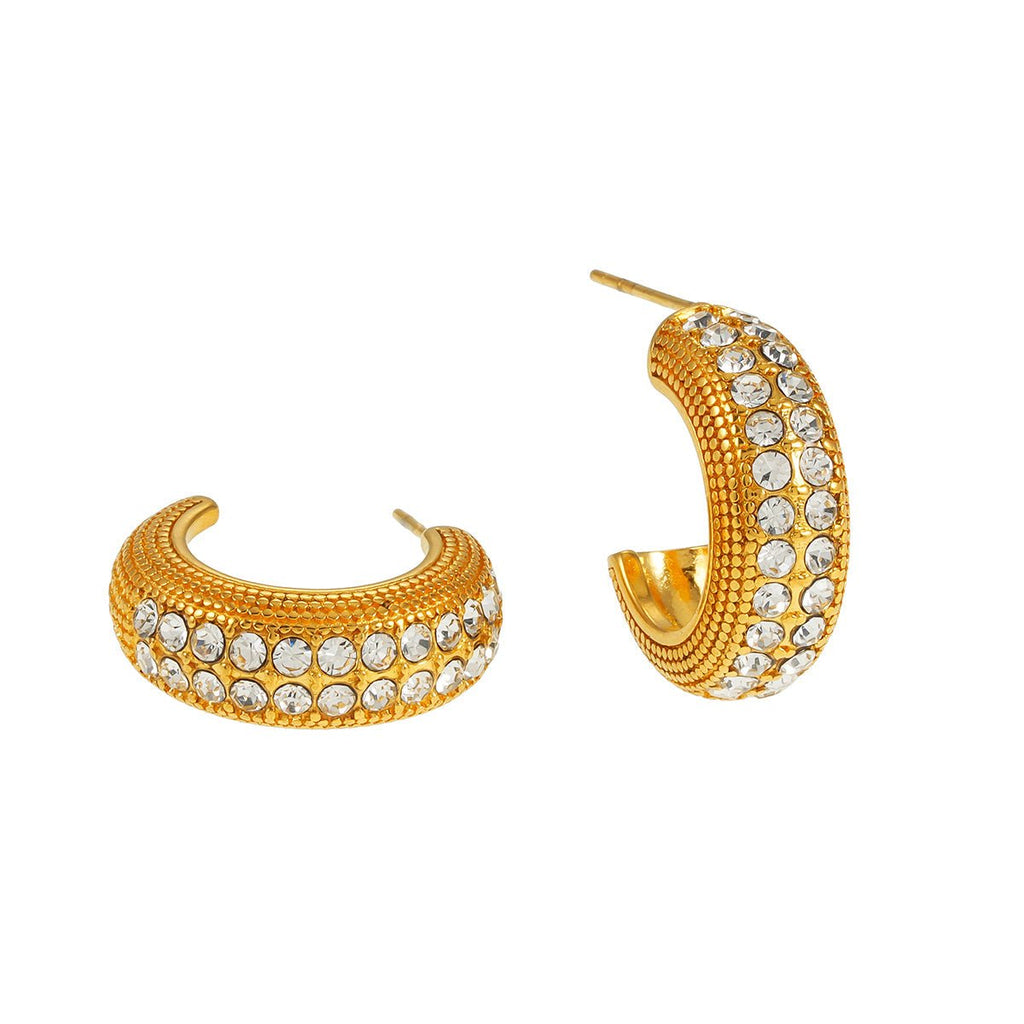 RANI Gold: Textured Pavé Zirconia (CZ) Mini Hoop Earrings - MacroPanora