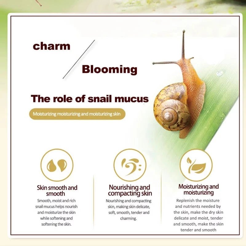 Skincare Snail Cream Collagen Cream anti Aging Whiten Skin Face Cream Fade Dark Eye Circles Remove Eye Bags Eye Serum - MacroPanora