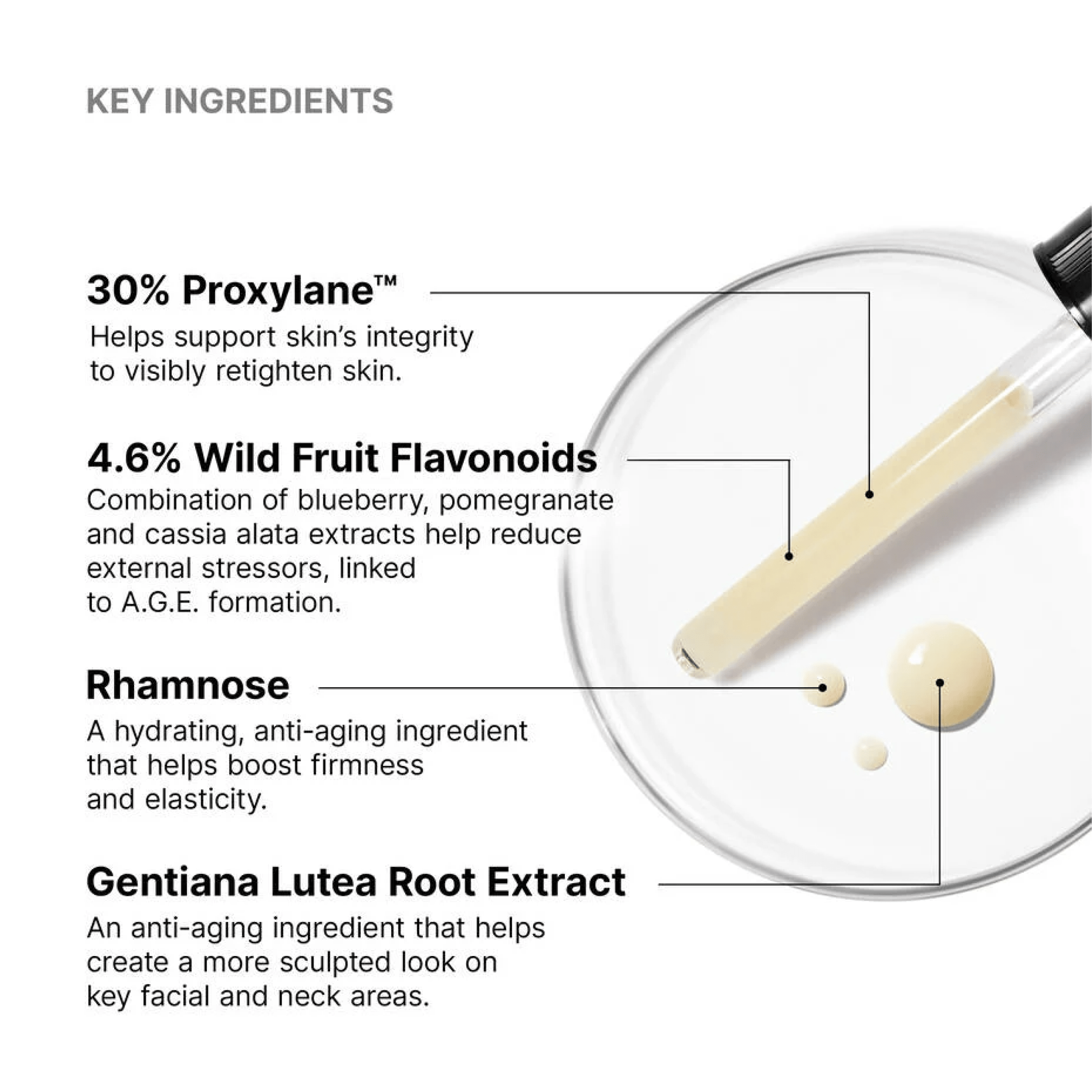 SkinCeuticals AGE Interrupter Ultra Serum - Serums, Oils & Concentrates | MacroPanora