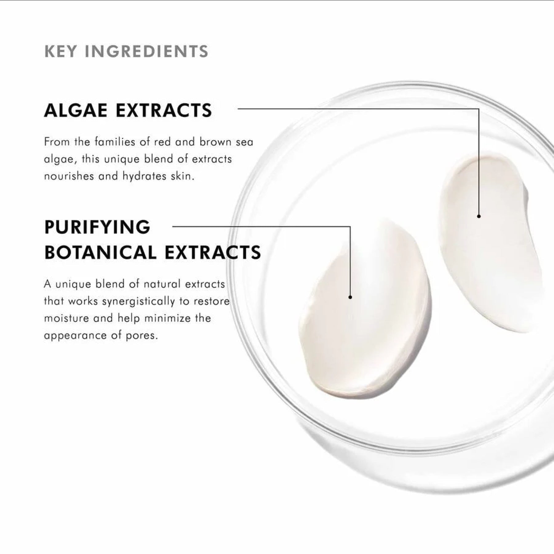 SkinCeuticals Daily Moisture - Moisturizers | MacroPanora