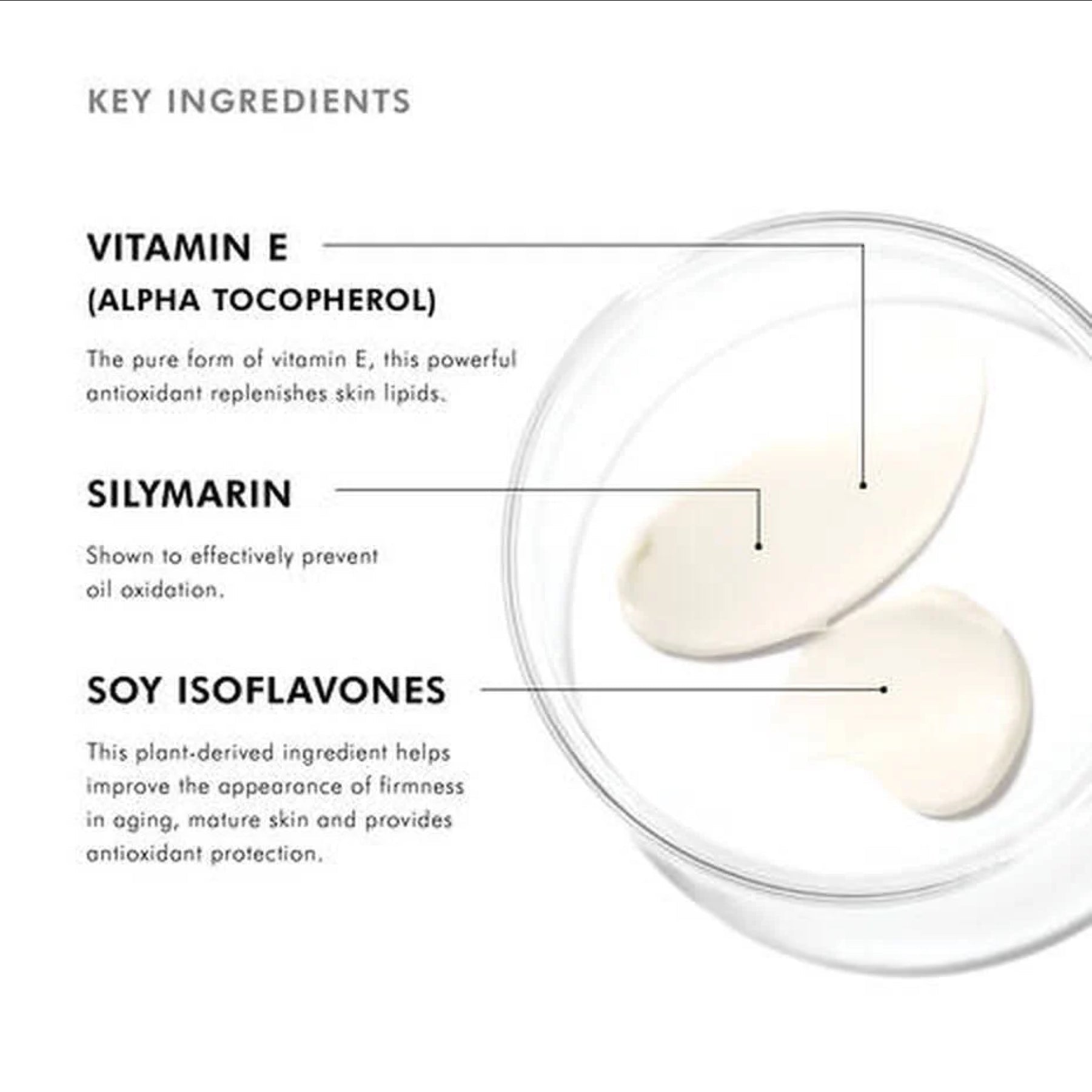 SkinCeuticals Eye Balm - MacroPanora