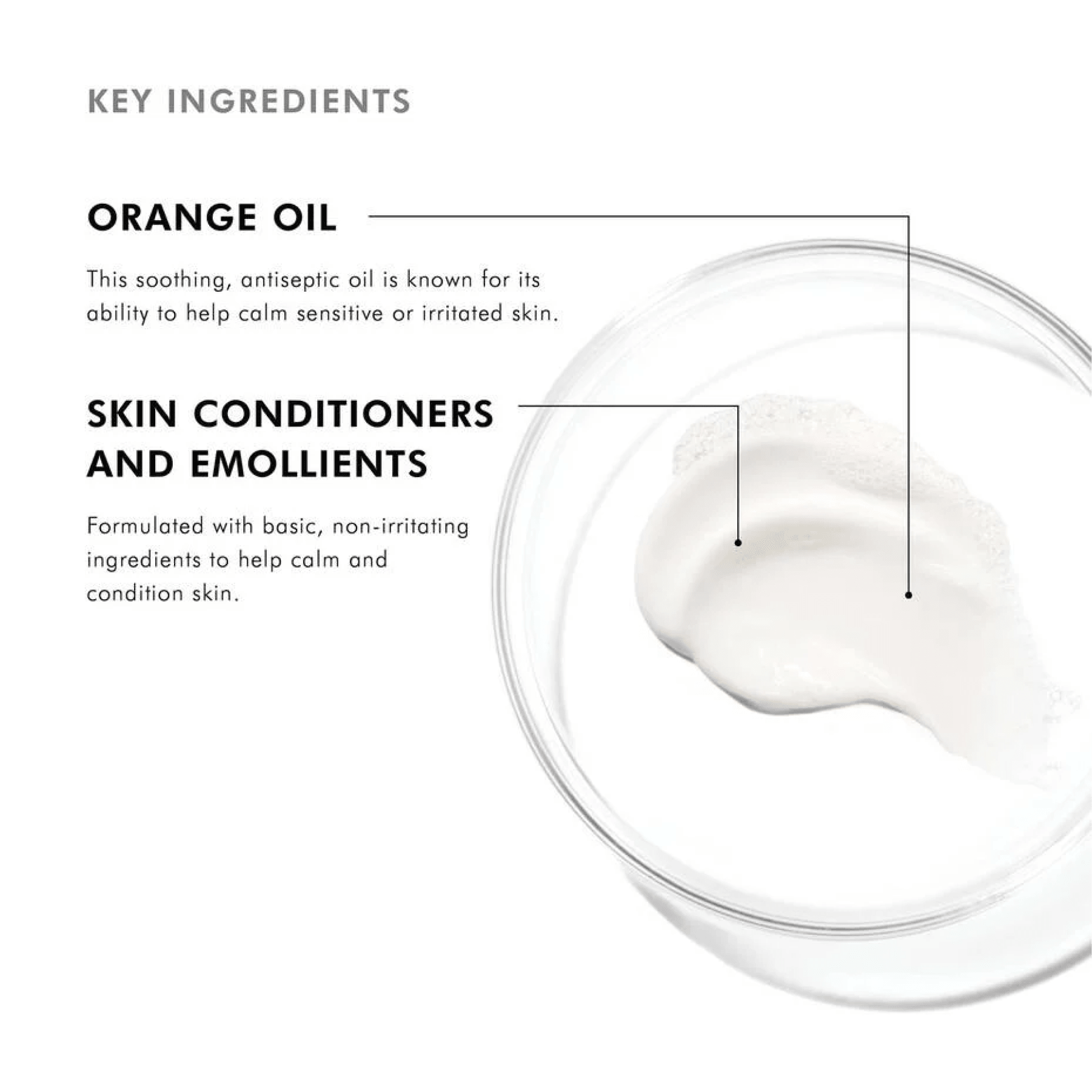 SkinCeuticals Gentle Cleanser - MacroPanora