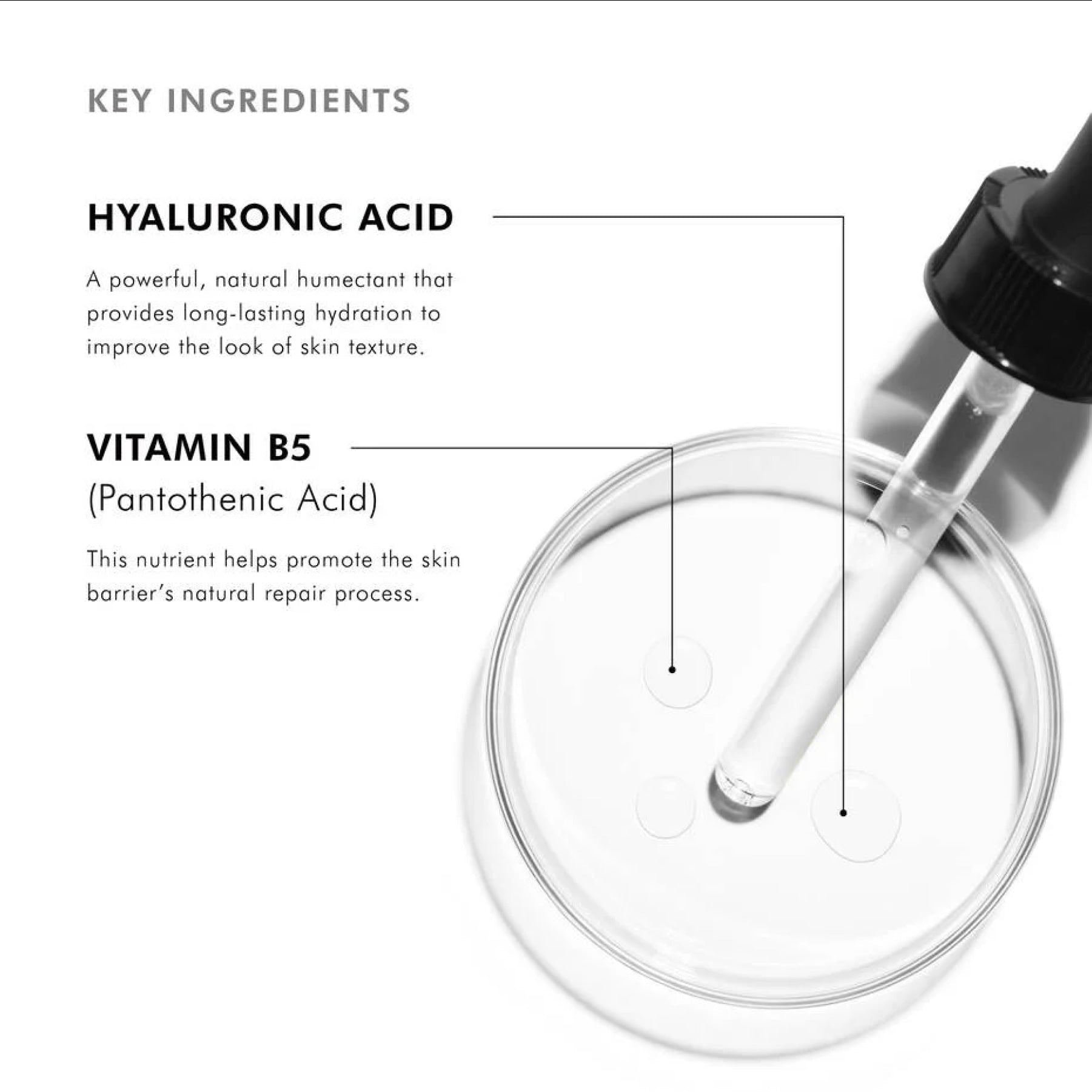 SkinCeuticals Hydrating B5 Gel - MacroPanora