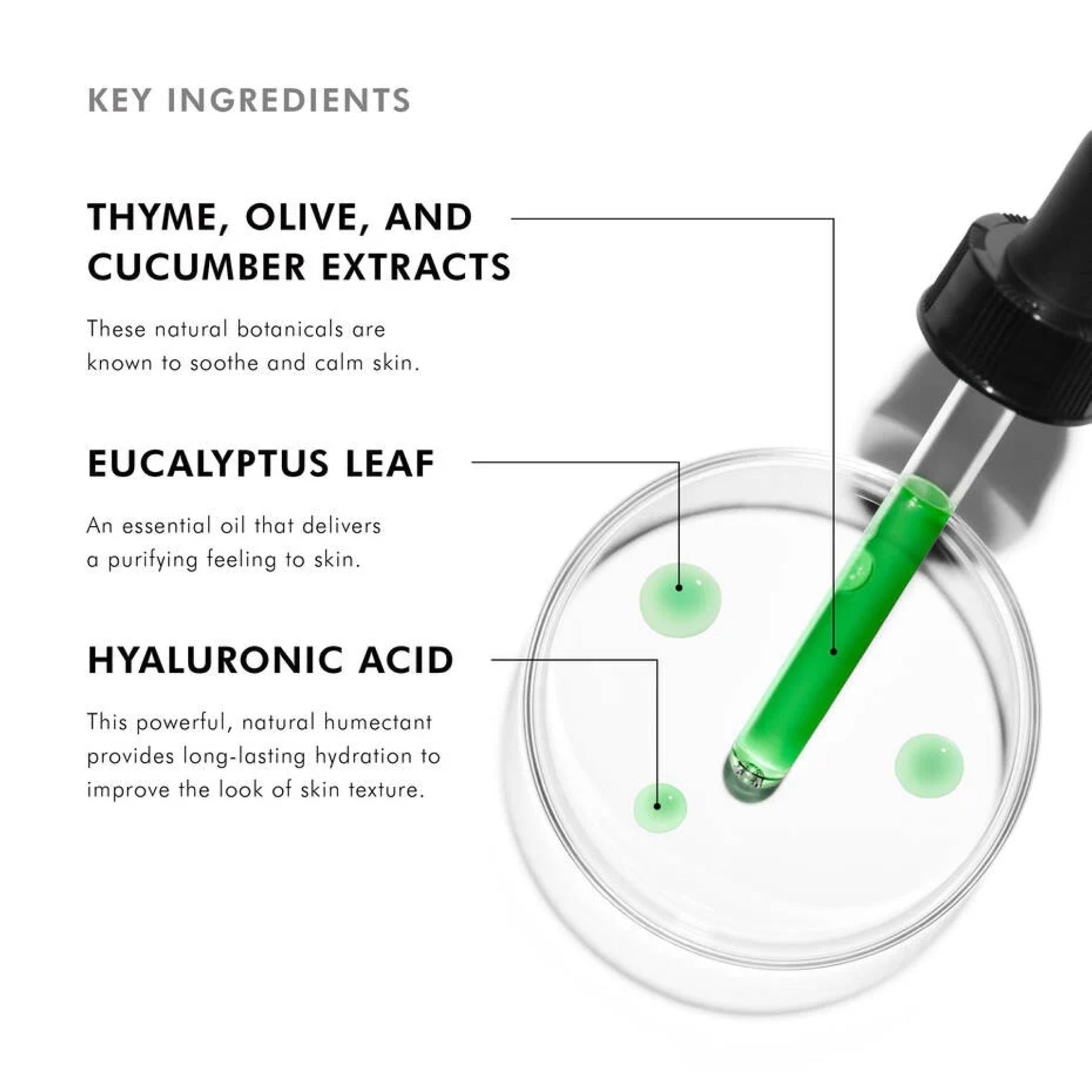SkinCeuticals Phyto Corrective Gel - MacroPanora
