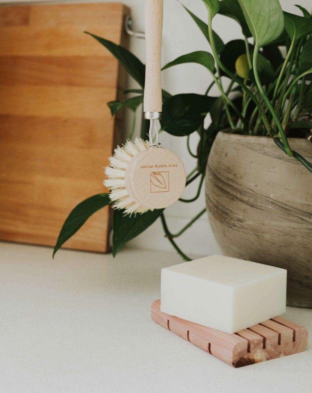 Solid Dish Soap Bar | Unscented - MacroPanora