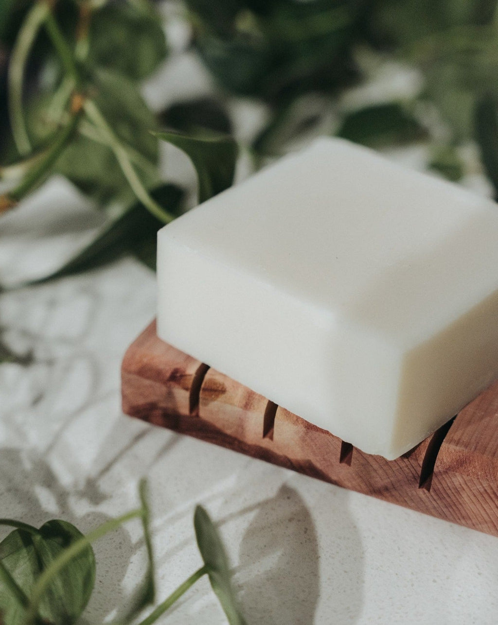 Solid Dish Soap Bar | Unscented - MacroPanora