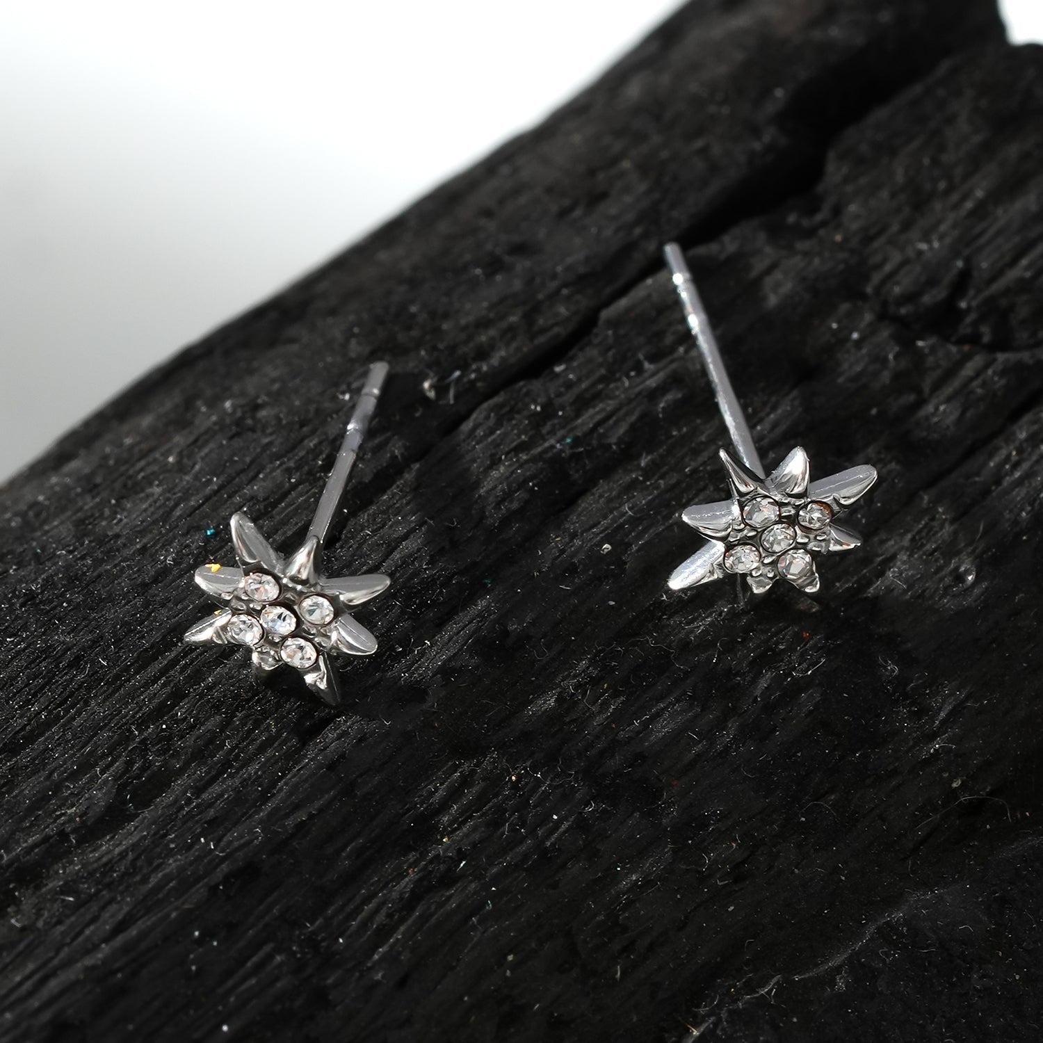 Style SARENBE Silver: 'Star Bright' Stud Earrings in Silver - MacroPanora