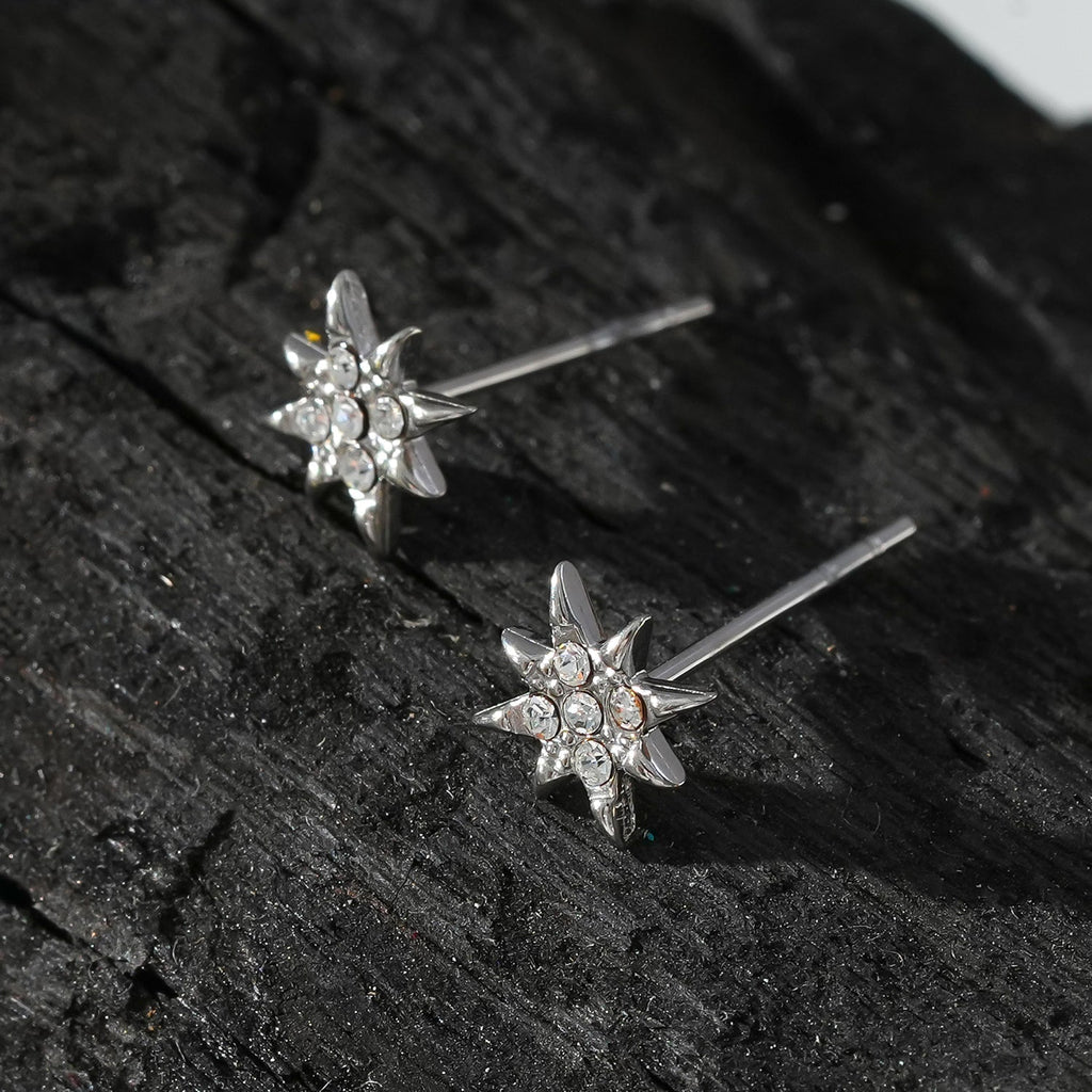 Style SARENBE Silver: 'Star Bright' Stud Earrings in Silver - MacroPanora